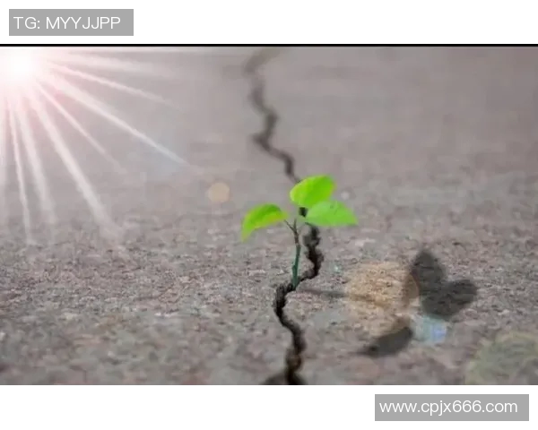 暮色苍茫中劲松挺立展现生命的坚韧与不屈之美