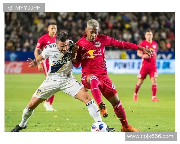 纽约城与波兰特伐木的对决谁能在城市与自然之间找到平衡